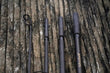 Intercontinental Carp Rod Rods