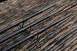 Forge Bullet Carp Rod Canne da pesca