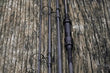 Intercontinental Carp Rod Rods