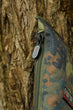 Ftr Camo Rod Sleeve Luggage